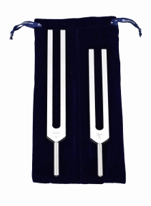 Zestaw 2 kamertonów aluminiowych - ton C - 256 Hz oraz  G - 384 Hz - z etui - Biosonics