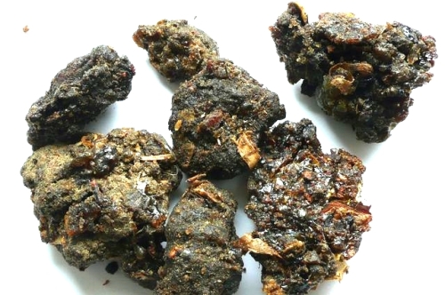 Gokul-Dup (Commiphora mukul) - Guggul, Bdellium
