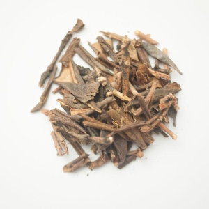 Sunpati (Rhododendron anthropogon)