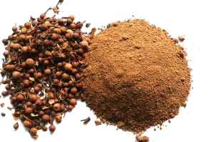 Nagke Sarth (Messua Ferrea) - drzewo żelazne