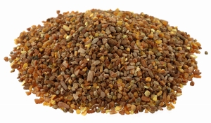 Bursztyn bałtycki - waga 100 gram