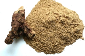 Pankojara, Betel (Piper betle) - pieprz żuwny