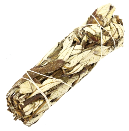 yerba0.jpg