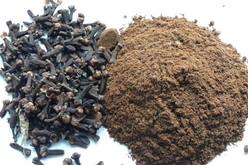 Clove (Syzygium aromaticum) - goździkowiec korzenny