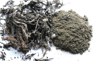 Titepati (Artemisia tibet.), Ganden Khaenpa