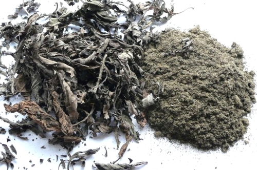 Titepati (Artemisia tibet.), Ganden Khaenpa